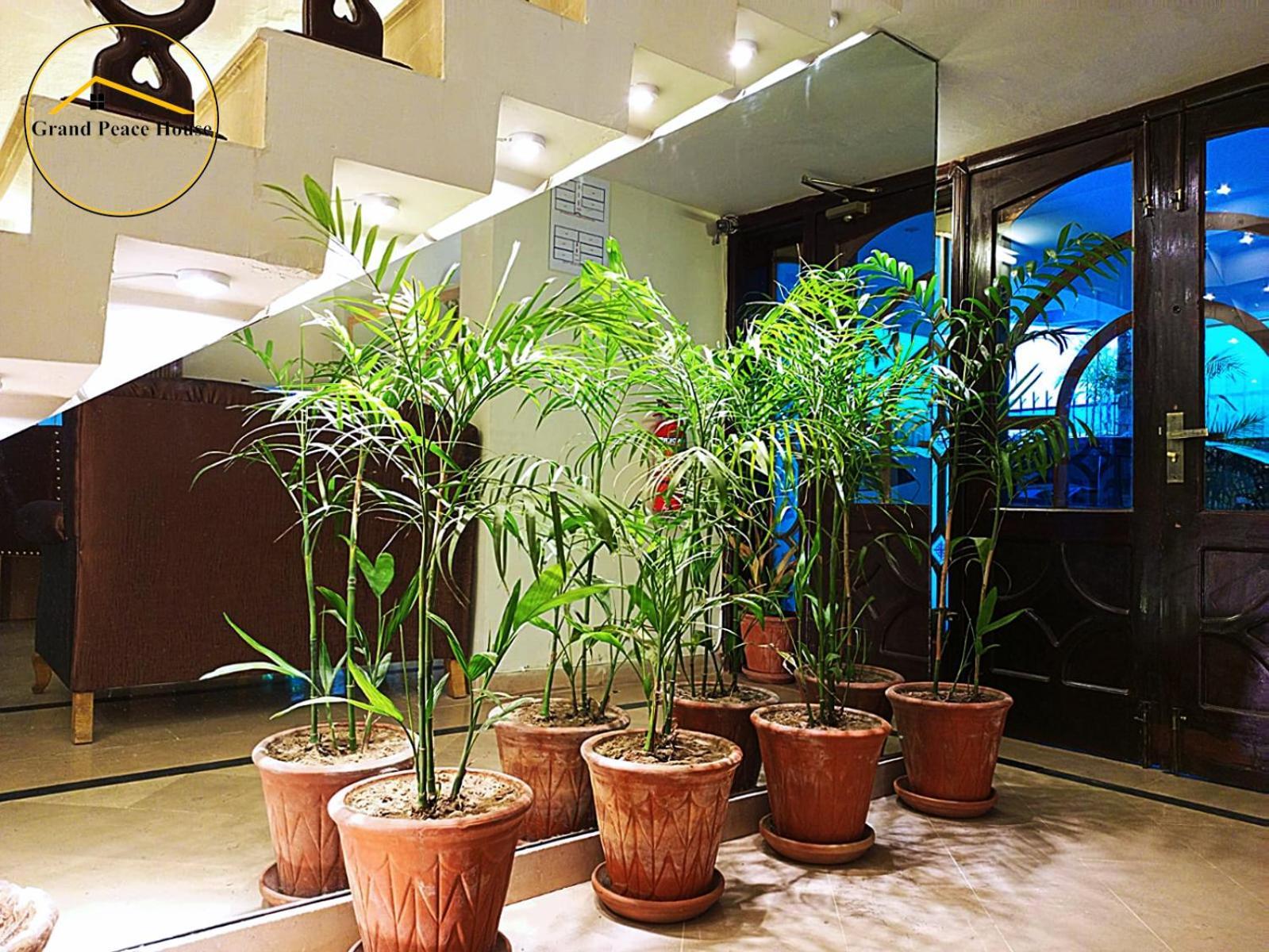 이슬라마바드 Grand Peace House I B&B 외부 사진